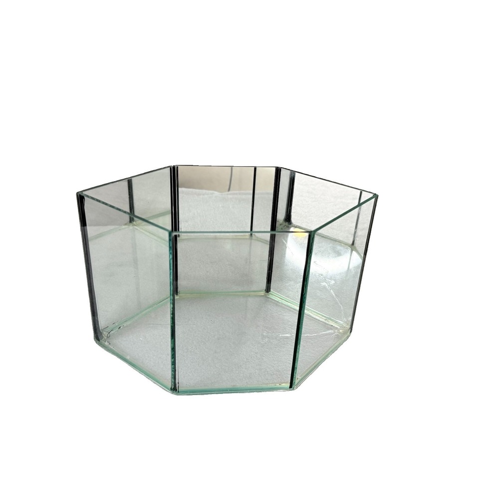 Vintage Hexagon Glass Terrarium Display Box Planter Beveled Glass Centerpiece